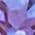 Color Swatch - Purple