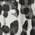 Color Swatch - Black/White