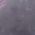 Color Swatch - Purple