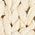 Color Swatch - Ivory