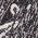 Color Swatch - Black