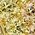 Color Swatch - Gold