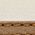 Color Swatch - Tan