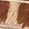 Color Swatch - Animal