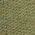 Color Swatch - Green