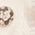 Color Swatch - Ivory