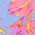 Color Swatch - Purple