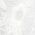 Color Swatch - White