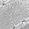 Color Swatch - White