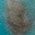 Color Swatch - Turquoise/Silver
