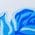 Color Swatch - Blue
