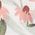 Color Swatch - Pink