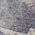 Color Swatch - Grey