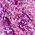 Color Swatch - Lunar Violet