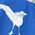 Color Swatch - Blue