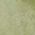Color Swatch - Green