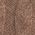 Color Swatch - Wood