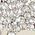 Color Swatch - Silver/Crystal