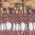 Color Swatch - Tan