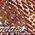 Color Swatch - Brown