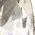 Color Swatch - Silver