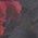 Color Swatch - Multi/Misc