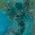 Color Swatch - Blue