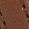 Color Swatch - Brown