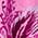 Color Swatch - Floral