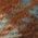 Color Swatch - Brown
