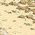 Color Swatch - Gold