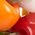 Color Swatch - Red