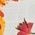 Color Swatch - Floral