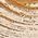 Color Swatch - Gold
