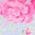 Color Swatch - Floral