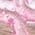 Color Swatch - Pink