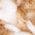 Color Swatch - Cinnamon Mix Knit