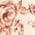 Color Swatch - Floral