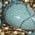 Color Swatch - Blue