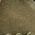 Color Swatch - Olive