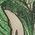 Color Swatch - Green