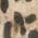 Color Swatch - Animal