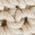 Color Swatch - Ivory