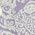 Color Swatch - Purple