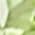 Color Swatch - Green