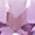 Color Swatch - October/Pink Sapphire