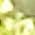 Color Swatch - Silver/Peridot