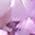 Color Swatch - October/Pink Sapphire