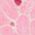Color Swatch - Pink