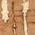 Color Swatch - Tan